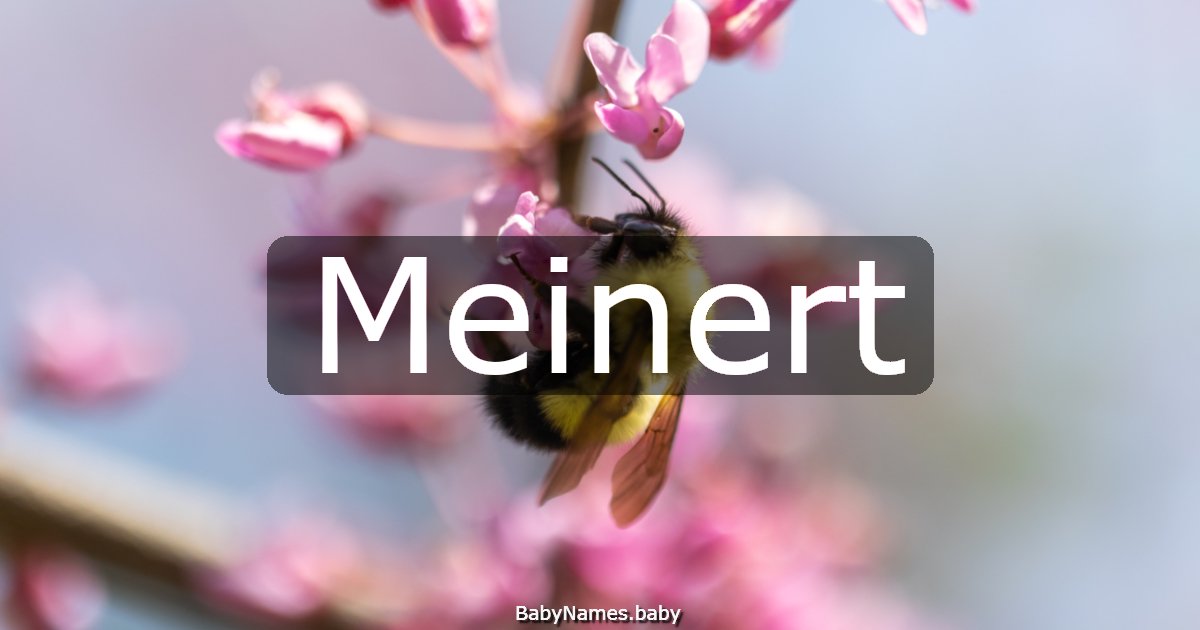 Meinert