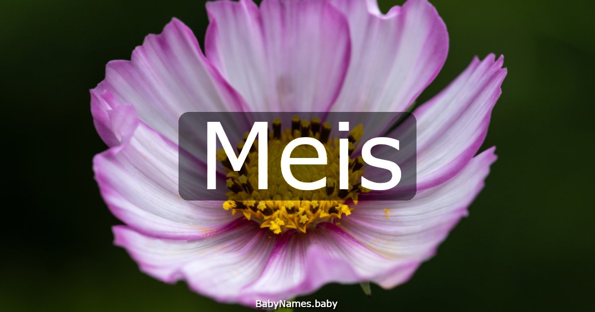 Meis