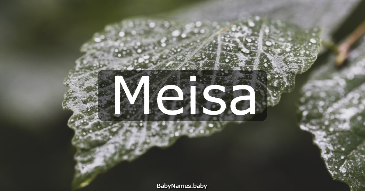 Meisa
