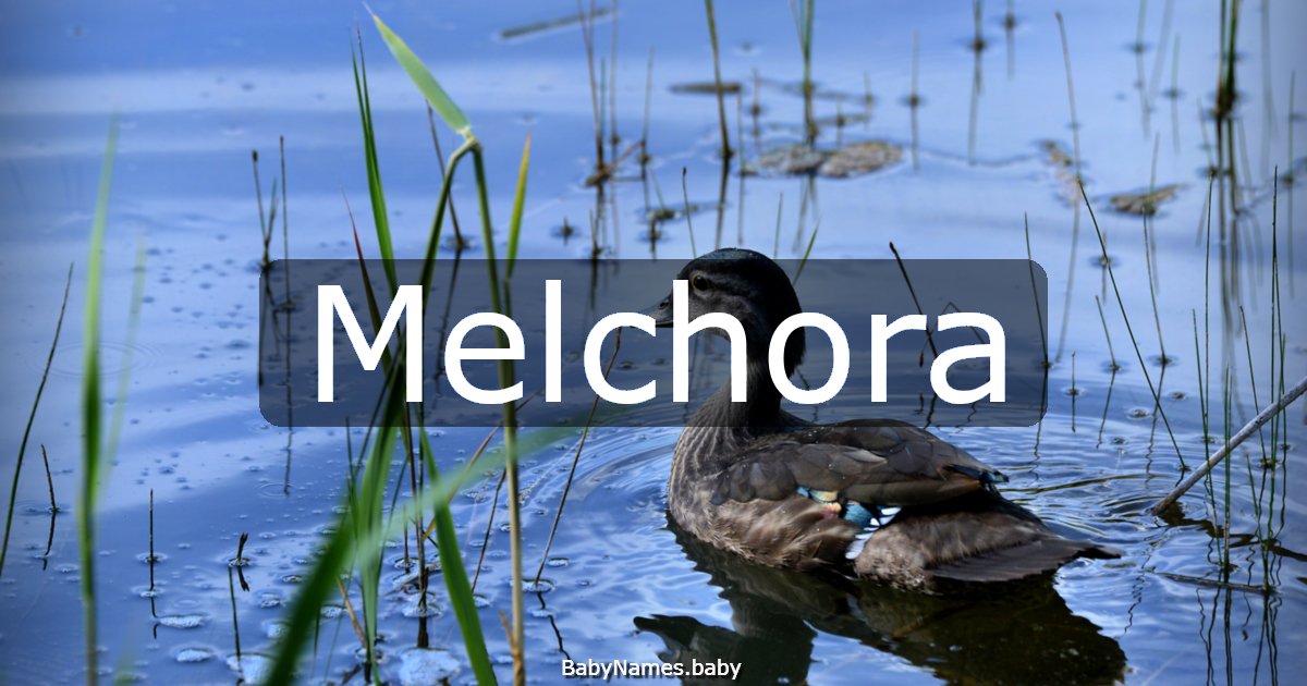 Melchora