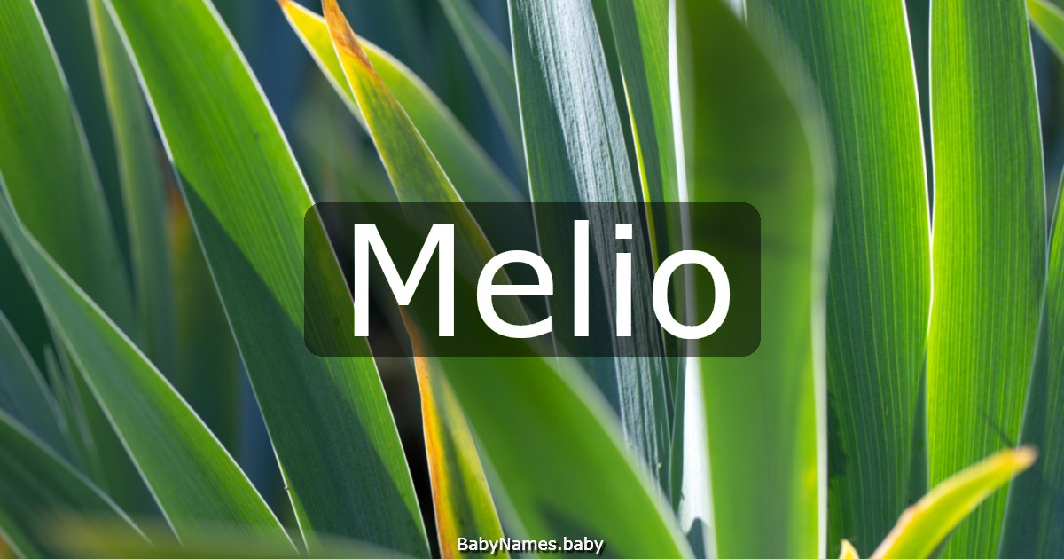Melio