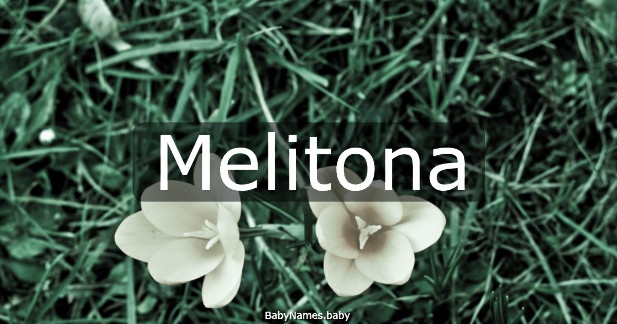 Melitona