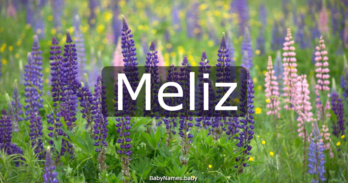 Meliz