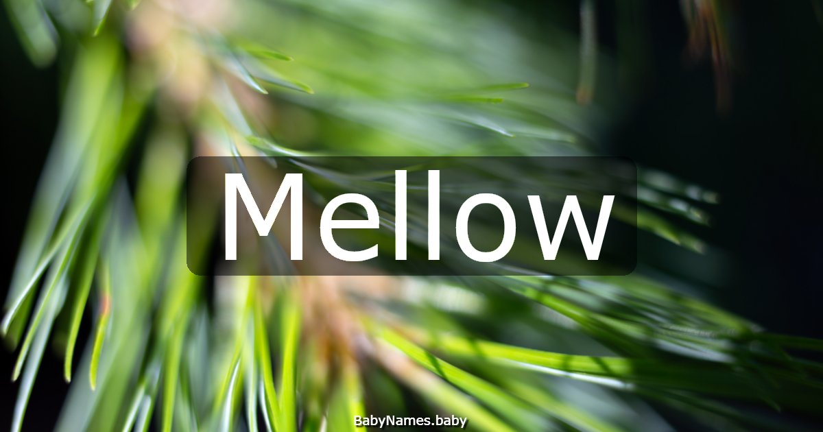 Mellow