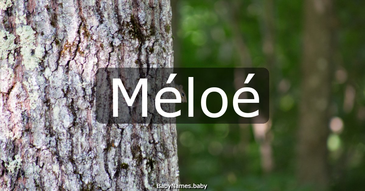 Méloé