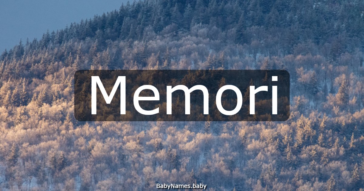 Memori