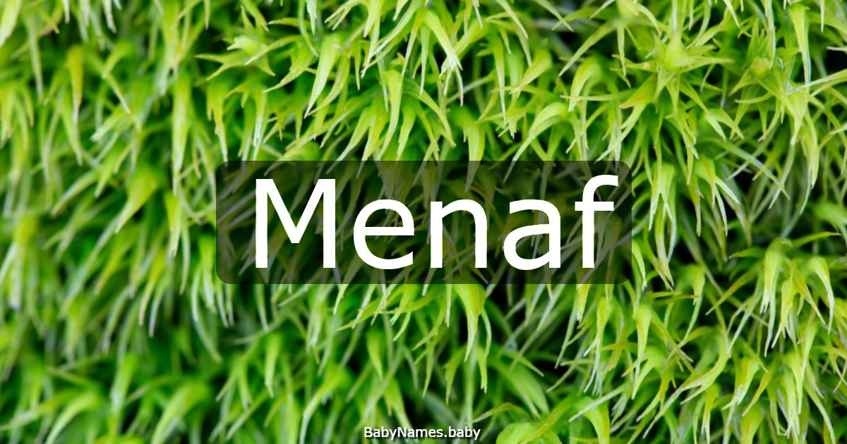Menaf