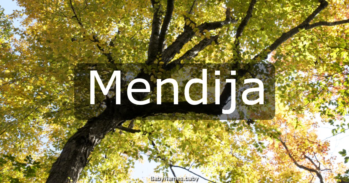Mendija