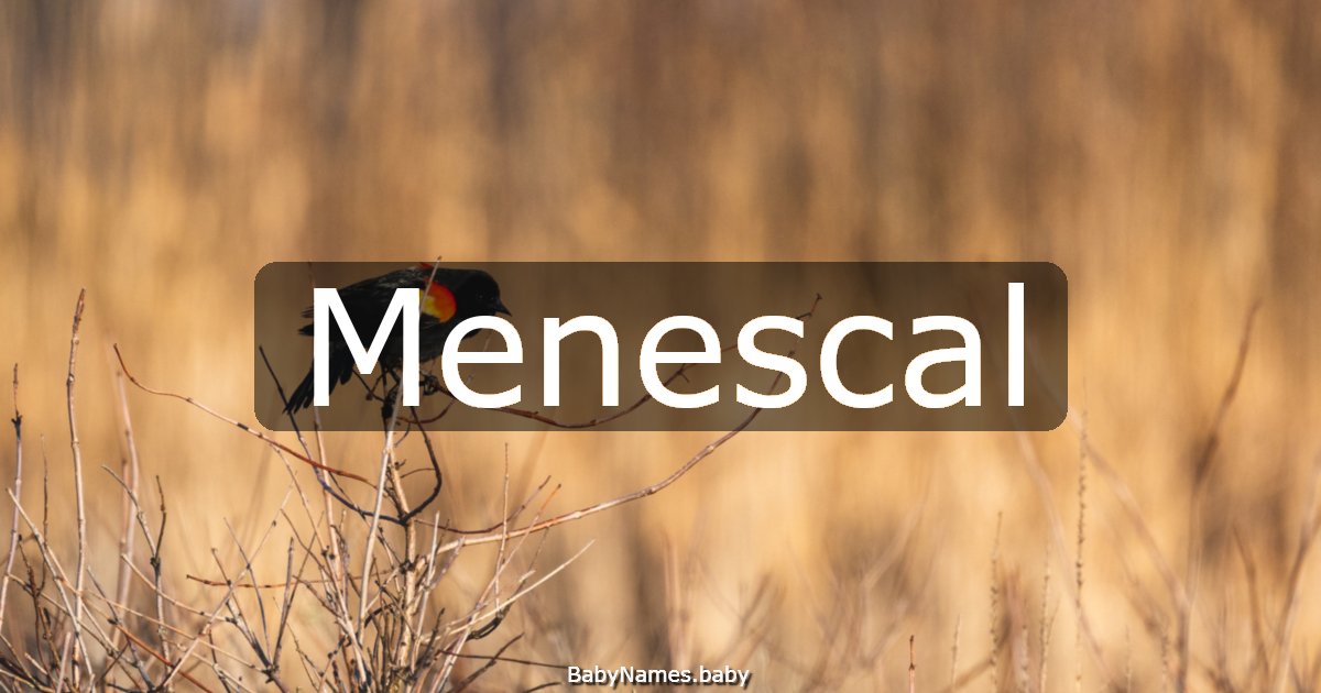 Menescal