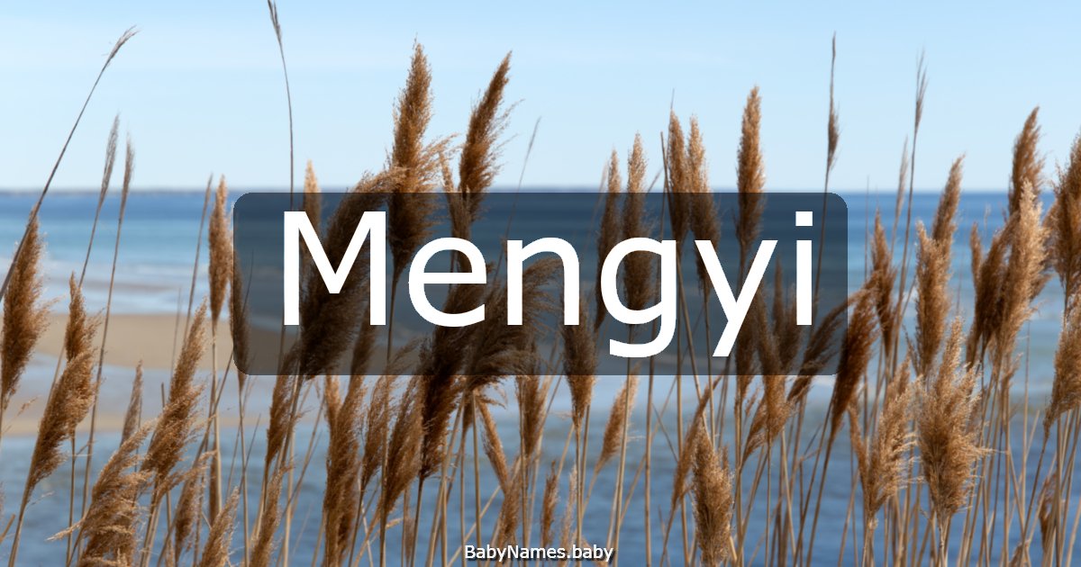 Mengyi