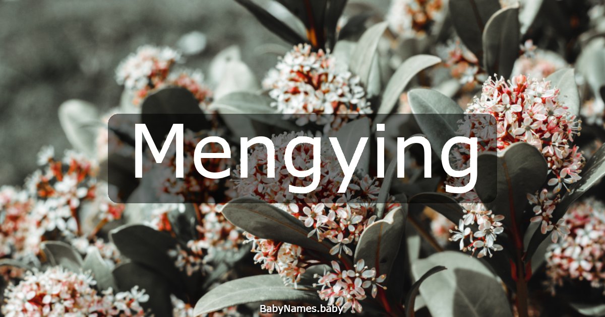 Mengying