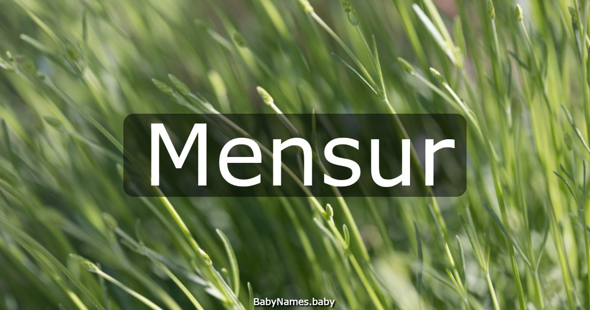 Mensur