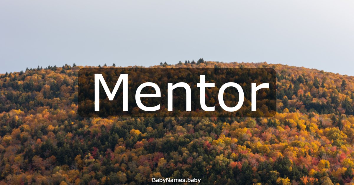 Mentor