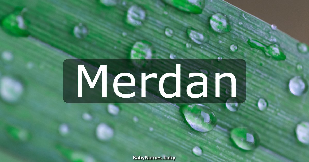 Merdan
