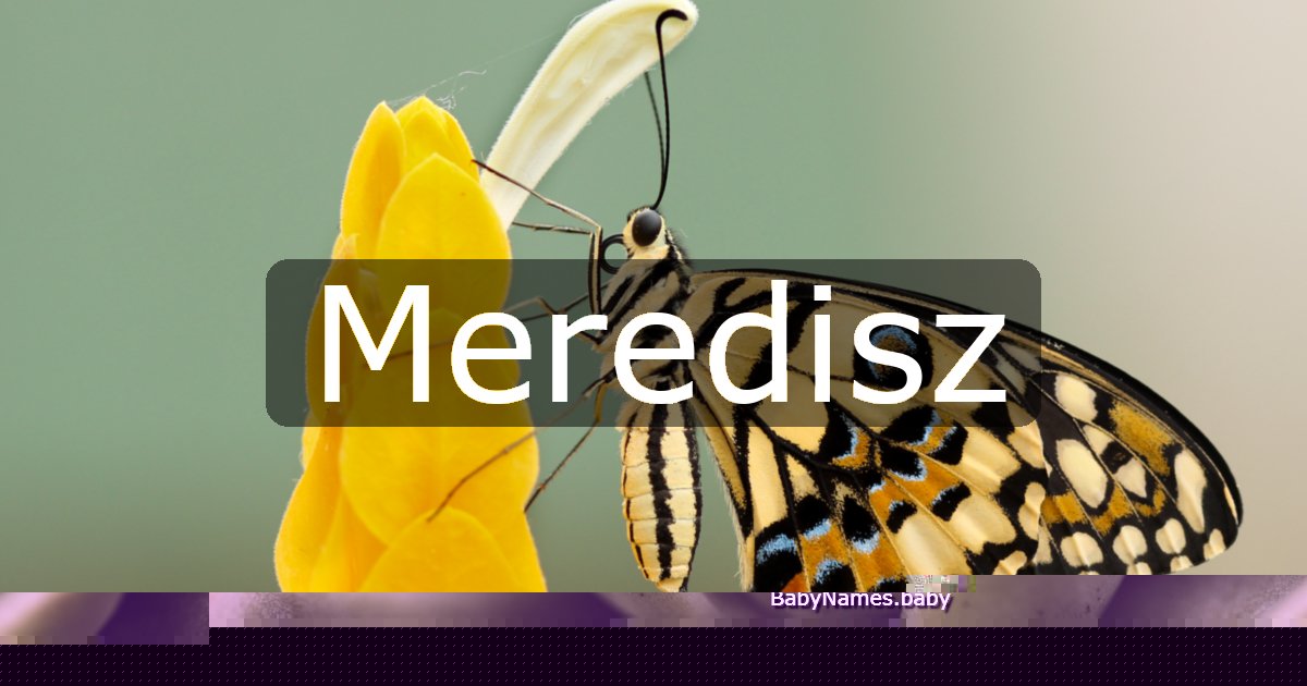 Meredisz