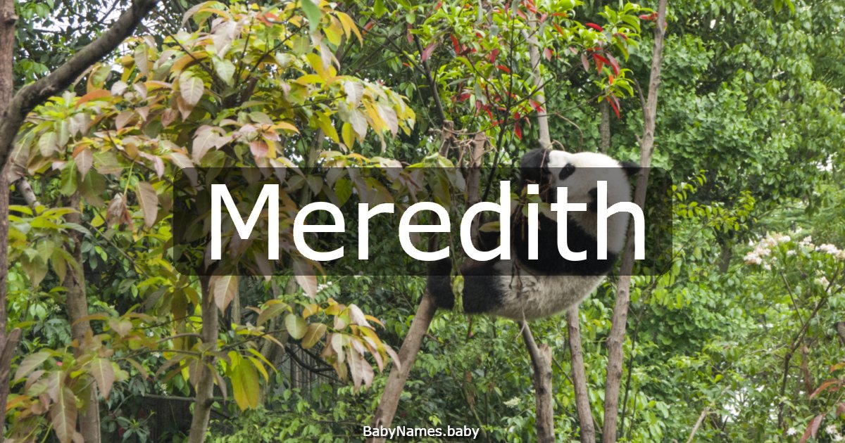 Meredith