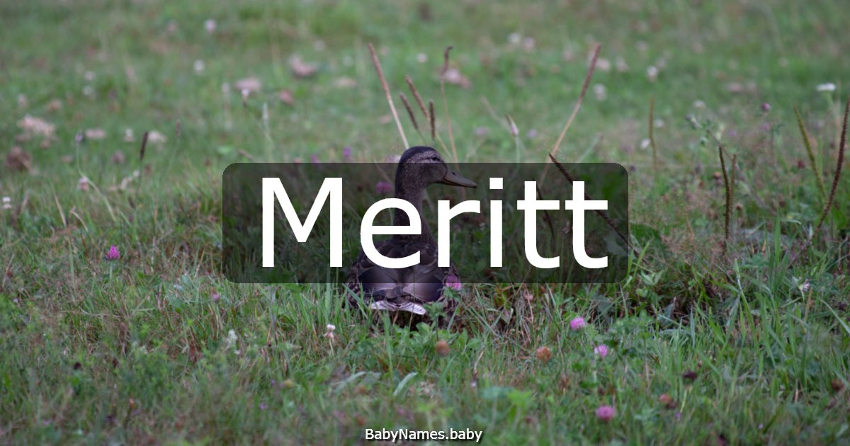 Meritt