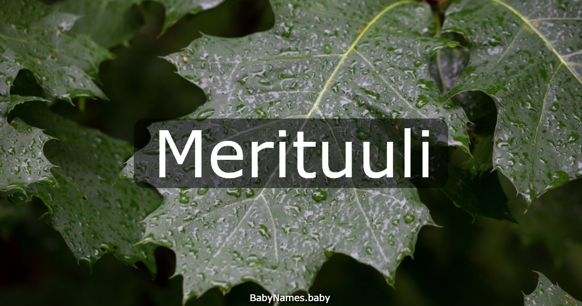 Merituuli