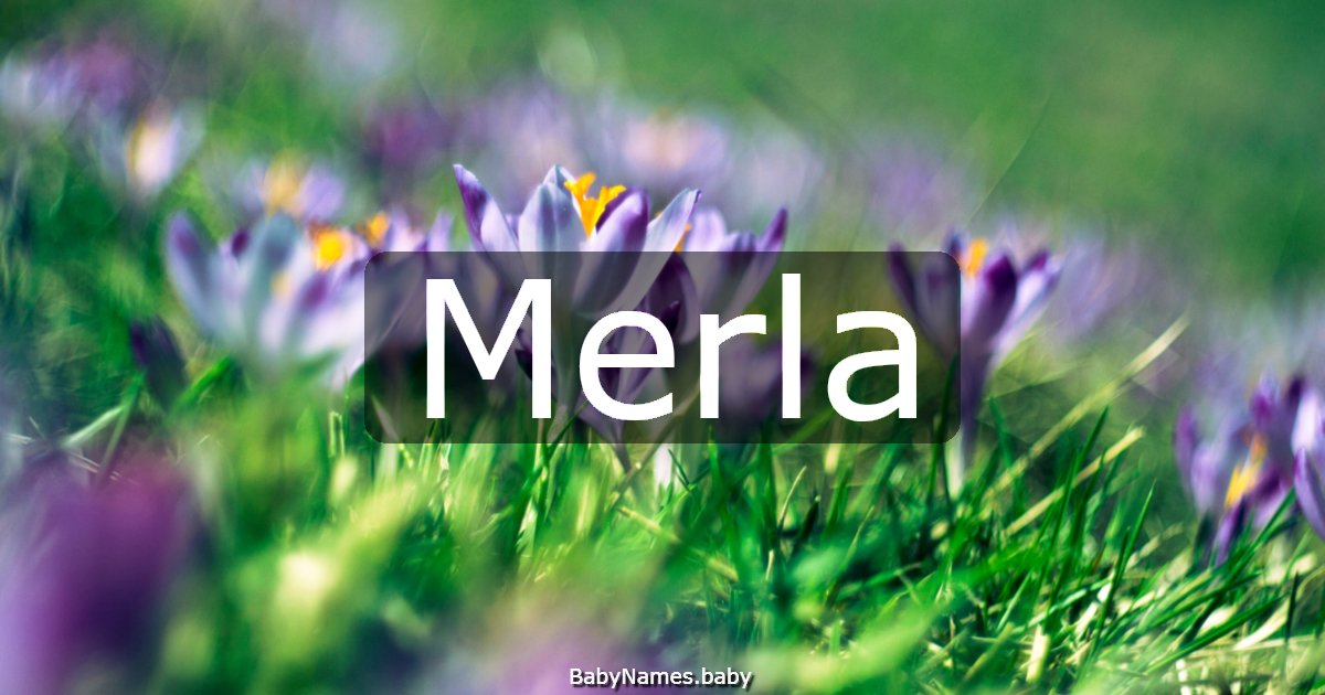 Merla