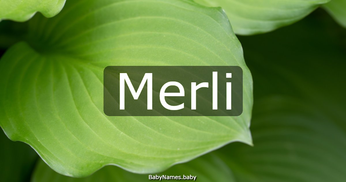 Merli