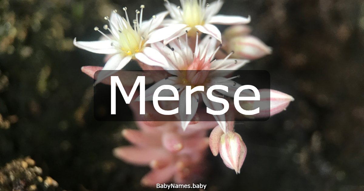 Merse