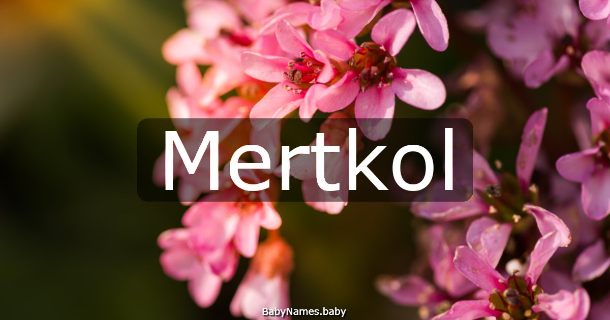 Mertkol