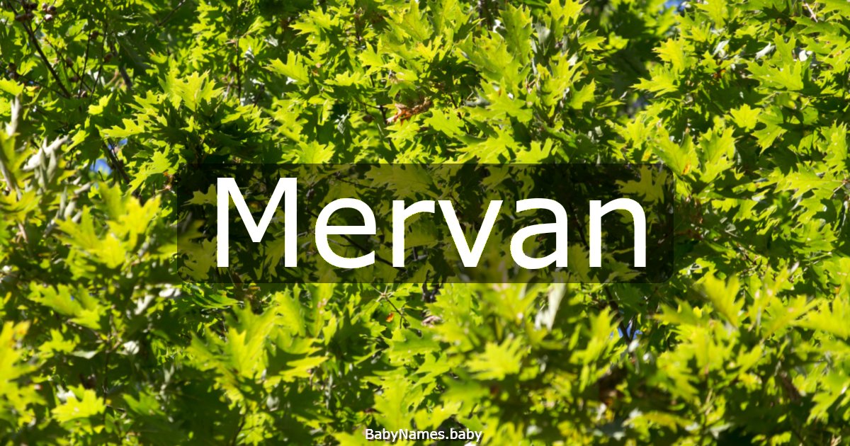 Mervan