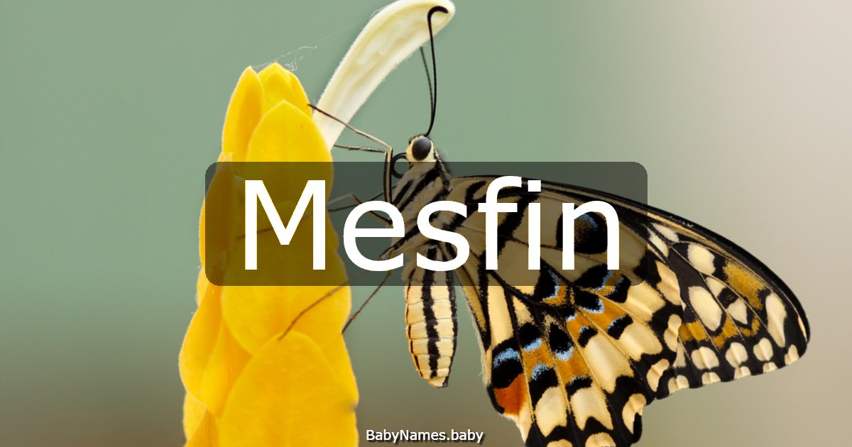 Mesfin