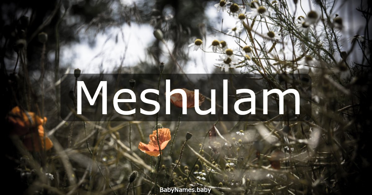 Meshulam
