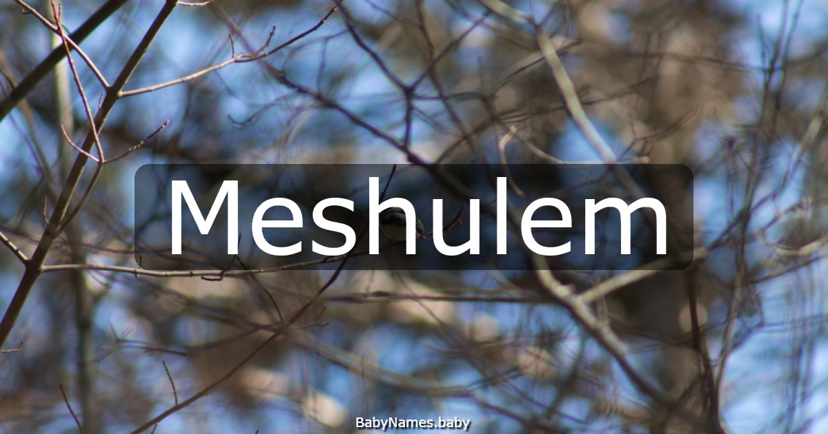 Meshulem