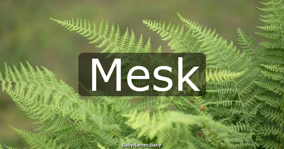 Mesk