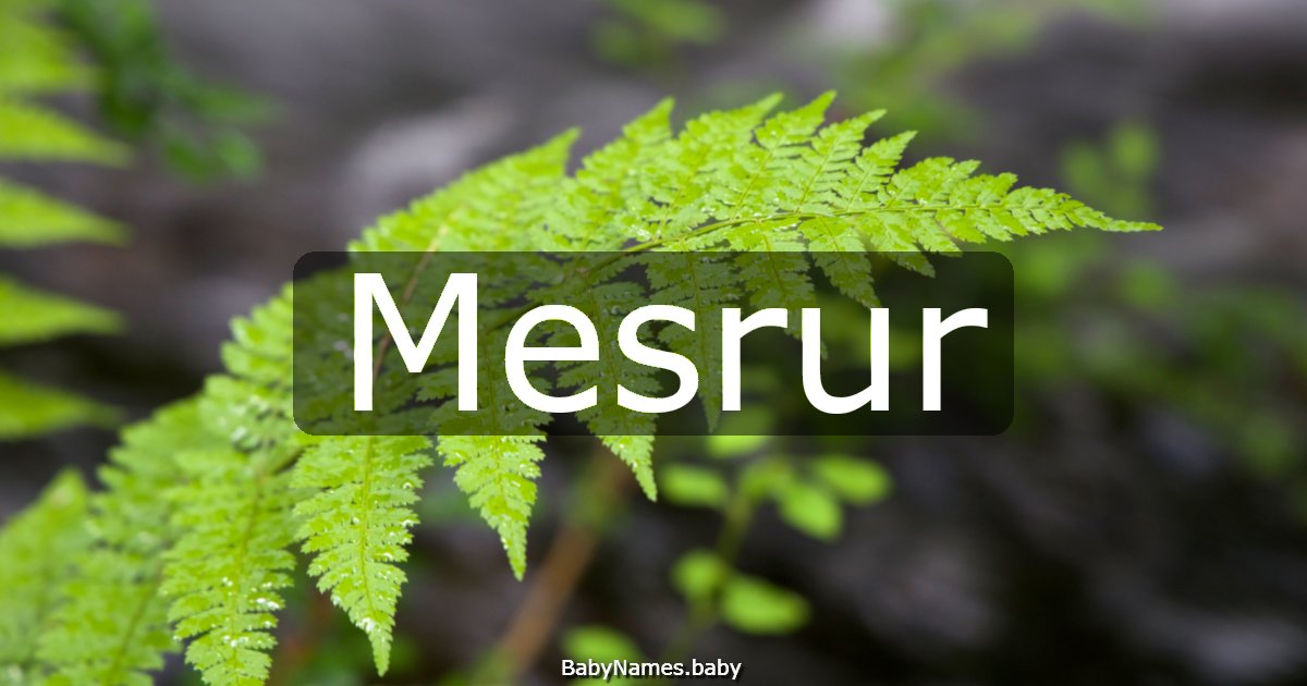 Mesrur