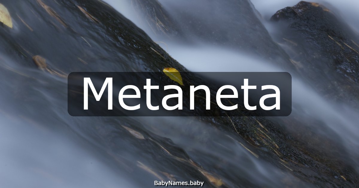 Metaneta