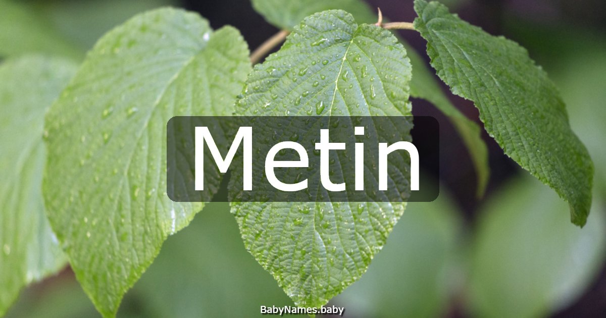 Metin