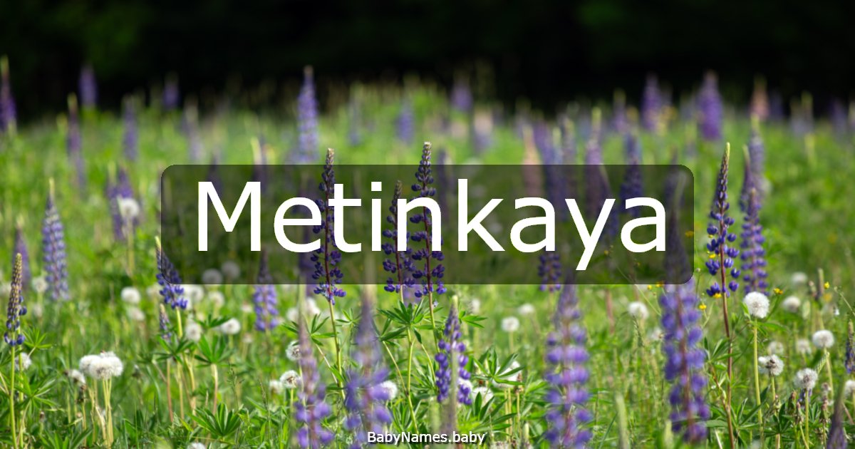 Metinkaya