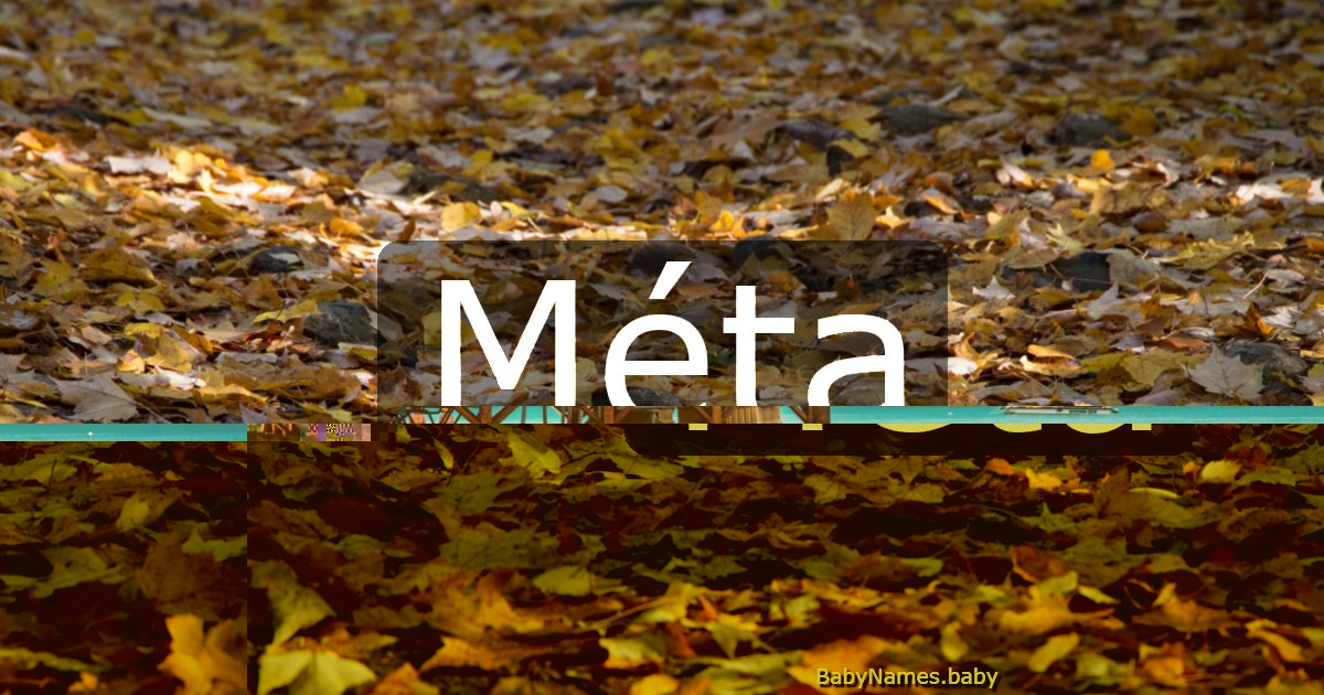 Méta