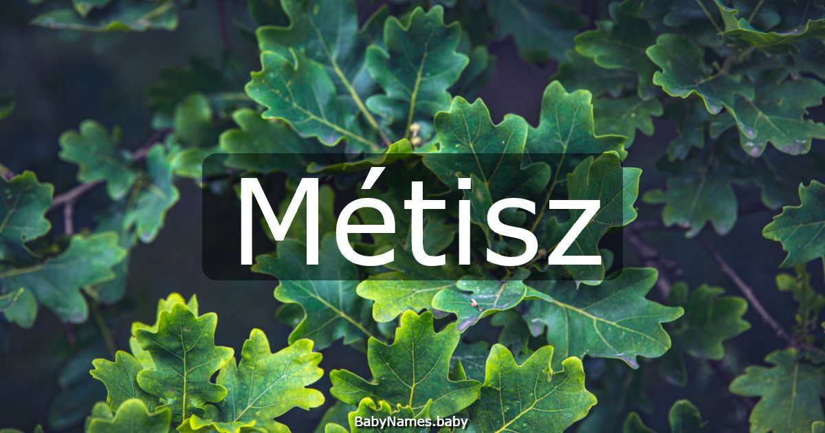 Métisz