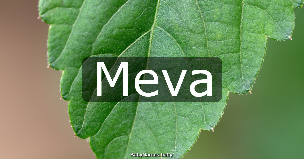 Meva