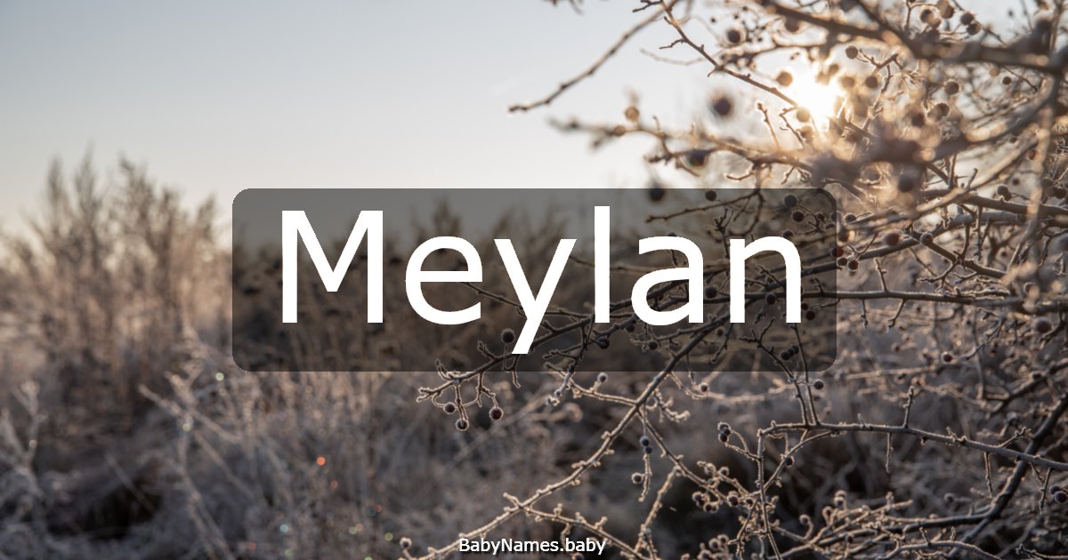 Meylan