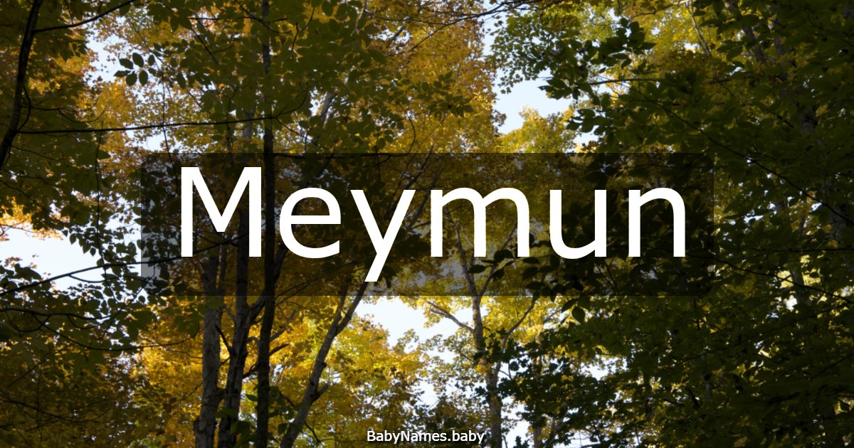 Meymun