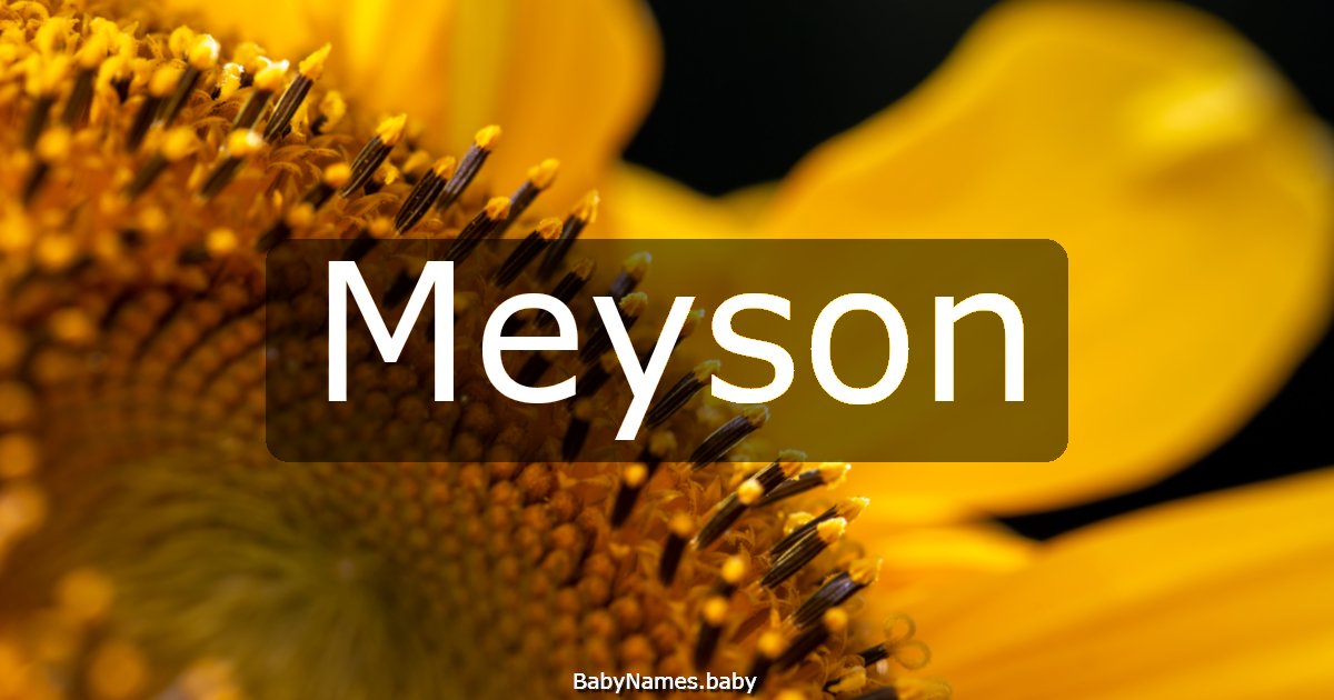 Meyson