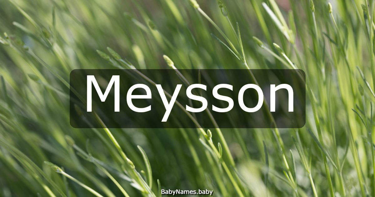 Meysson