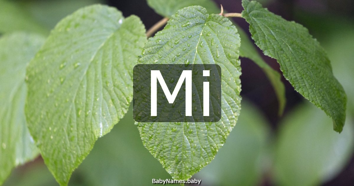 Mi