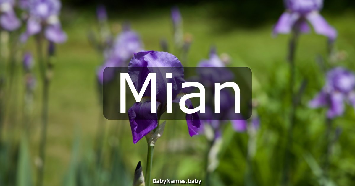 Mian