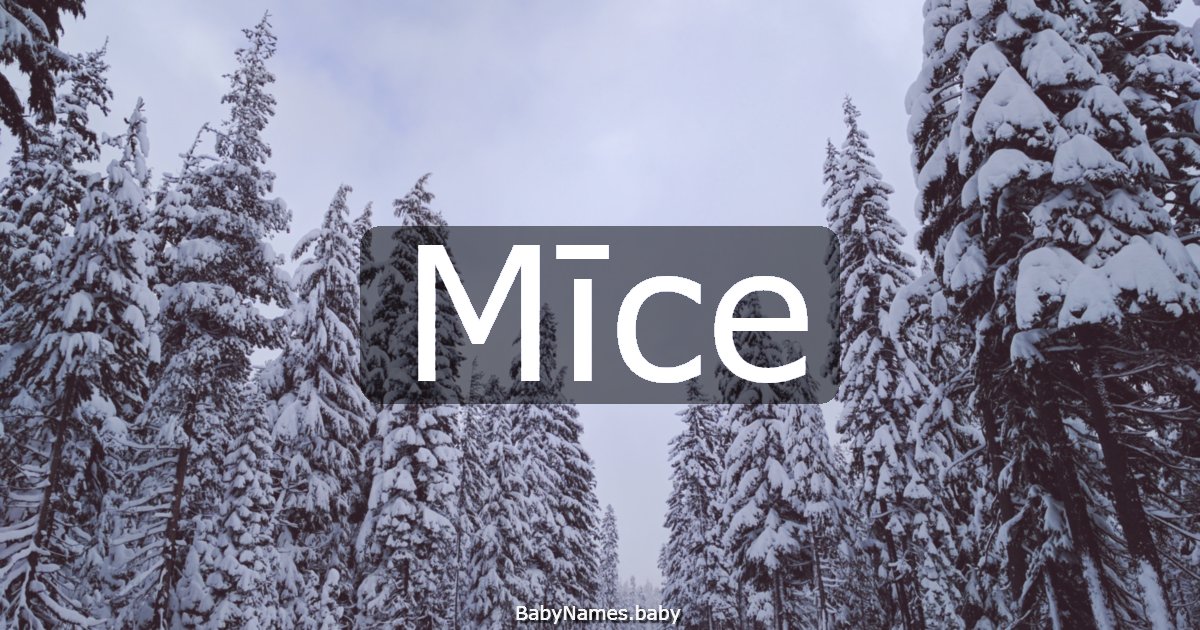 Mīce