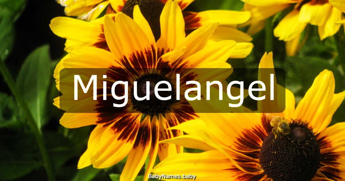 Miguelangel