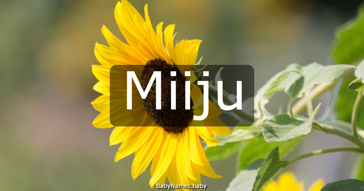 Miiju