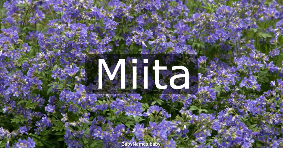 Miita