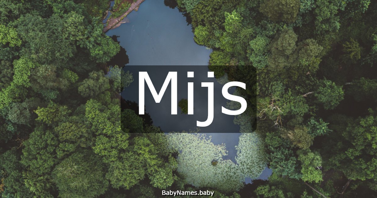Mijs