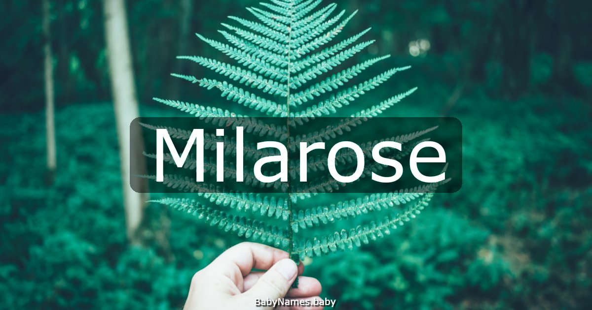 Milarose